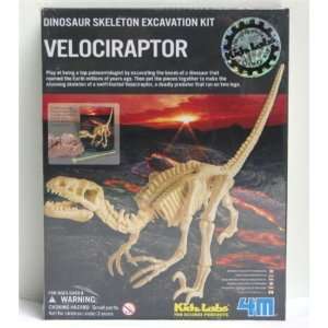  Dinosaur Skeleton Excavation Kit Velociraptor Toys 