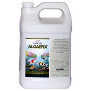 Pond Care AlgaeFix 1 Gal Algae Control Algae Fix FS  