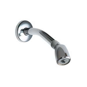 Chicago Faucets Shower Head with Arm, Flange, and Ball Joint 620 AVPCP