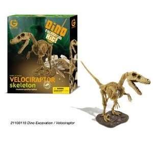    Geoworld Dino Excavation Kit   Velociraptor Skeleton Toys & Games