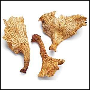 Dried Chantarells Mushrooms (4oz)  Grocery & Gourmet Food