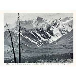  1951 Halftone Print Alaska Tundra Snow Peak Valley Mountain 