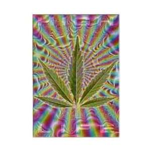  Drugs Posters High Life   Rainbow Background   86x61cm 