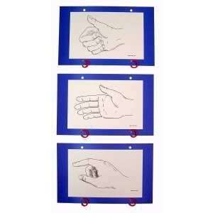  Altered Hand Sign Ladder Cards Musical Instruments