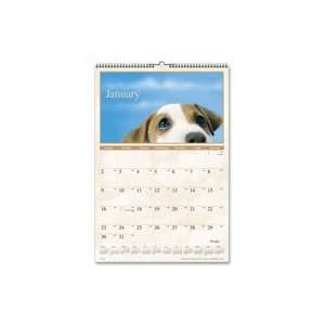 Organize office events, meetings and appointments with this calendar 