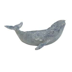 Monterey Bay Gray Whale Calf