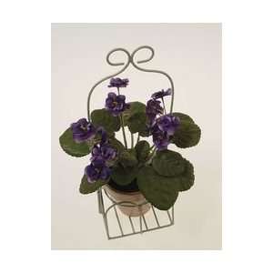  POTTED VIOLET*****