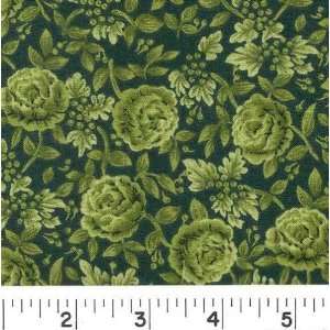  45 Wide KAYLEIGH   GREEN Fabric By The Yard Arts 
