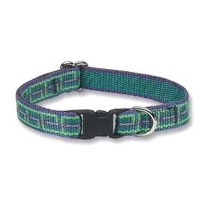  Lupine Small Dog Collar 8 12 Assorted Patterns Pet 