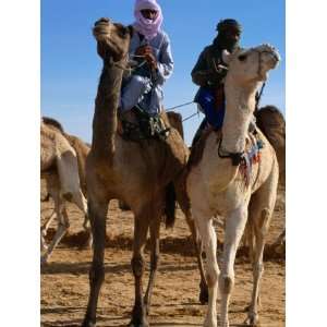  Two Taureg Men on Camels at Sahara Festival, Douz, Tunisia 