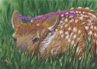 Akiko L/E ACEO Print Deer Fawn #11 Painting Art  