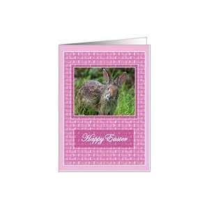  Bunny Rabbit Easter Cards Paper Greeting Cards Card 