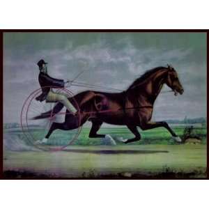  Currier & Ives Trotting Stallion George M. Patchen JR 