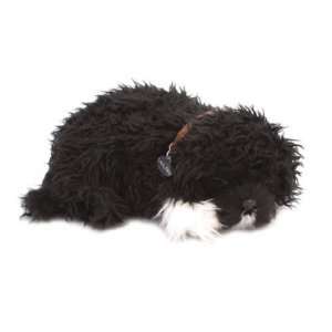  Portuguese Water Dog Perfect Toys & Games