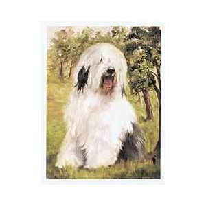  Old English Sheepdog Notecards 