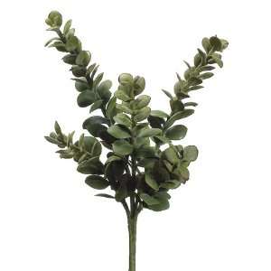  Faux 13 Jade Plant Green (Pack of 12) Patio, Lawn 