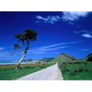  Gravel Road Linking Te Araroa to East Cape, Gisborne, New 