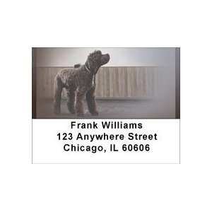  Portuguese Water Dogs Address Labels