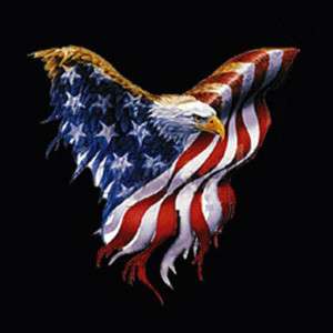 Military Patriotic Eagle American flag T shirt  
