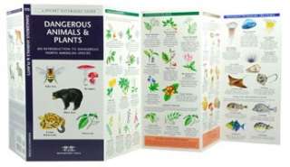 NEW Dangerous Animals & Plants Pocket Tutor Guide 9781583553091  