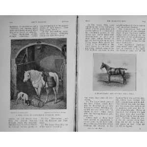  1913 Antique Print Horses Pony Polo Children Vineyard 