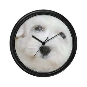  Coton de Tulear Pets Wall Clock by  Everything 