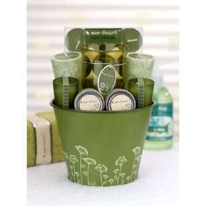   Candle Collection   Green Tea  Grocery & Gourmet Food