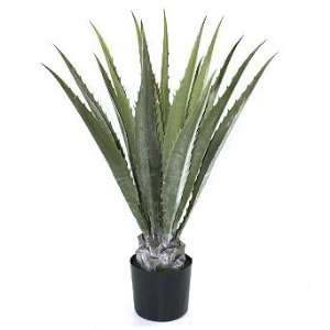  Agave Deluxe Outdoor Plant   38H   Frontgate