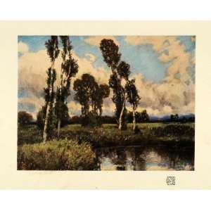   Marsh Pond Creek Grass Landscape   Original Color Print Home