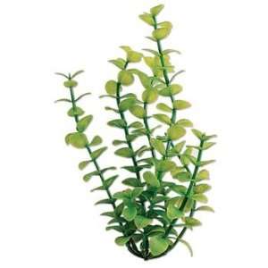    Tetra Water Wonders 12 Inch Green Bacopa Plant