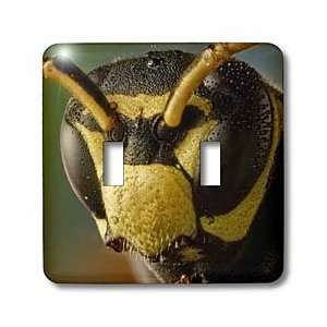   paper wasp   Light Switch Covers   double toggle switch Home