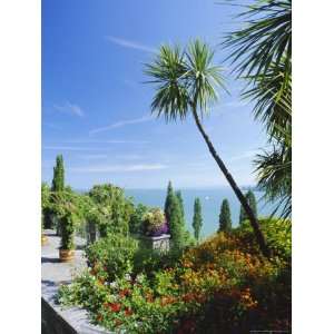  Tropical Gardens, Mainau Island, Lake Constance, Baden 