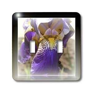 Purple Iris Reflections  Flowers  Floral Photography  Macro   Light 