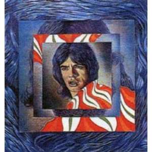 Mick Jagger (Rolling Stones) Music Poster Print   26 X 29  