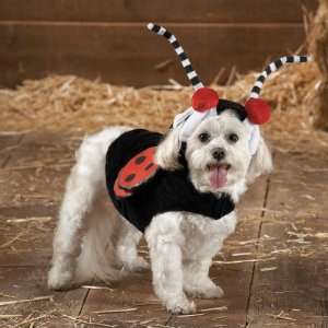  Ladybug Dress Up Halloween Dog Costume   Small Pet 