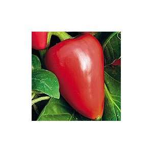 Pimiento L Sweet Pepper   1/4 lb. Grocery & Gourmet Food