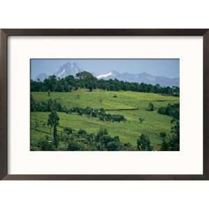 Tea Plantations Covering the Hills Near Mount Kenya Framed 