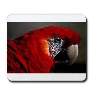  Mousepad (Mouse Pad) Scarlet Macaw   Bird 
