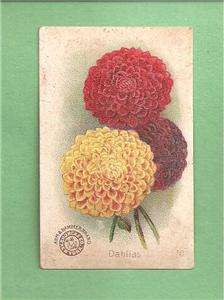 ARM & HAMMER Vintage Trading Card   BEAUTIFUL FLOWERS SERIES #59 
