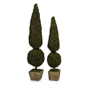  Mossy Sphere Topiary Pair