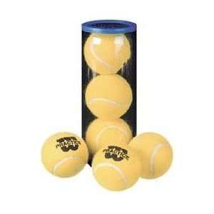  Wilson Practice Balls (Case 24X) 