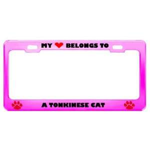  A Tonkinese Cat Pet Pink Metal License Plate Frame Tag 