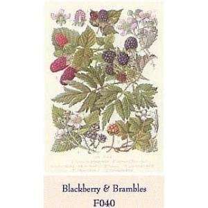  Blackberries & Brambles Poster Print