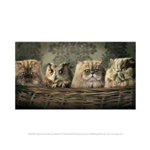 Liebermans PPAPVP0395 Cats and an Owl in a Basket 10.00 x 8.00 Poster 