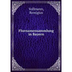  Flurnamensammlung in Bayern Remigius Vollmann Books