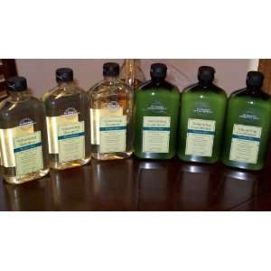 Bath & Body Works Aromatherapy Tranquil Mint Shampoo & Conditioner 