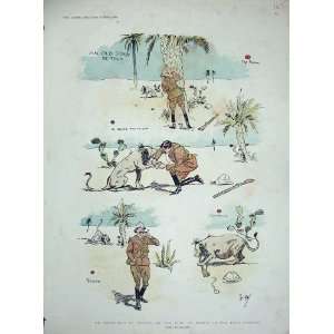 Man Tiger Hunting Sport 1894 Shooting Comedy Colour