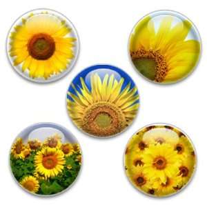    Decorative Magnets or Push Pins 5 Big Sunflowers