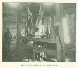 1911 Beating Meat Trust Paris Texas Edward McCuistion  