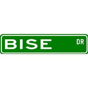  BISE Street Sign ~ Personalized Family Lastname Sign 